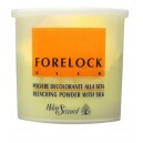POLVERE DECOLORANTE ALLA SETA FORELOCK 650 g HELEN SEWARD